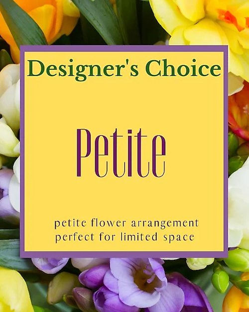 Designer\'s Choice - Petite Arrangement