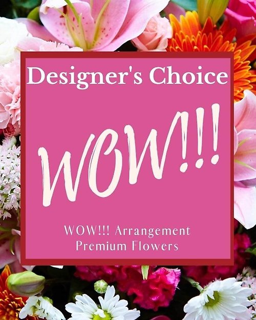 Designer\'s Choice - WOW!