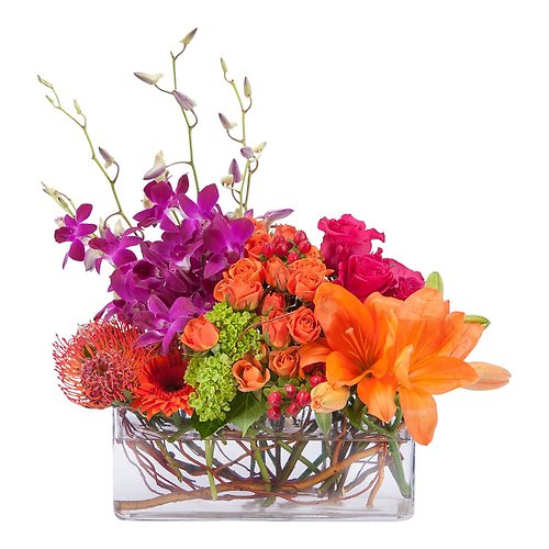 Summer Flowers