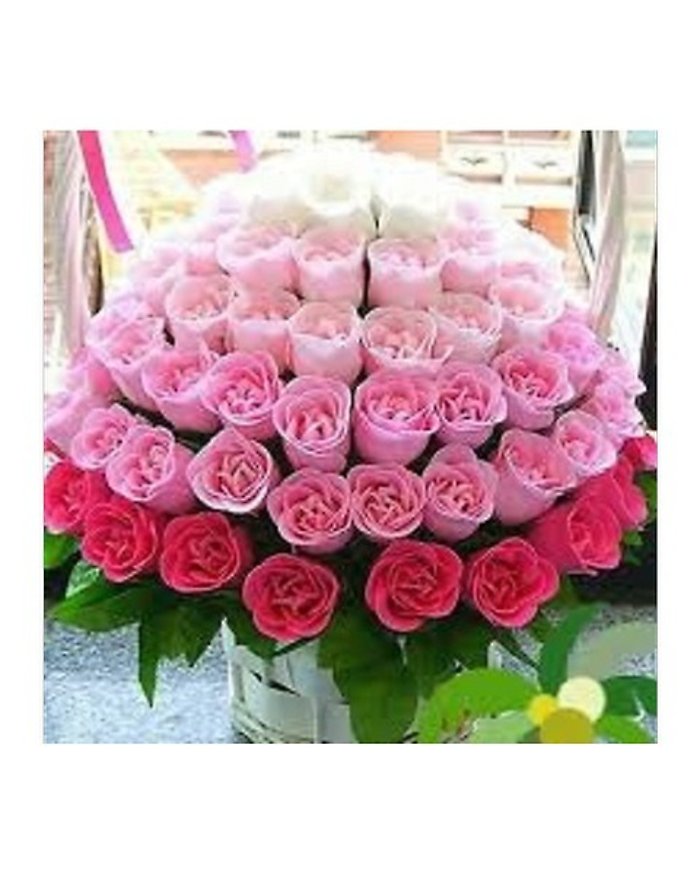 Shades of Pink