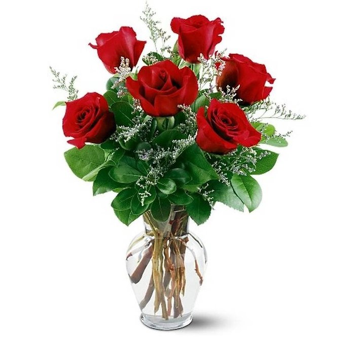 6 Red Roses