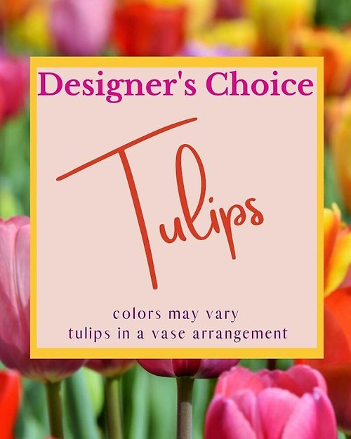 Designer\'s Choice - Tulips
