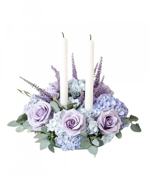 Hydrangea Hope
