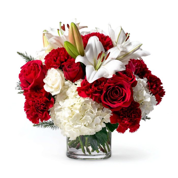 Yuletide Blush