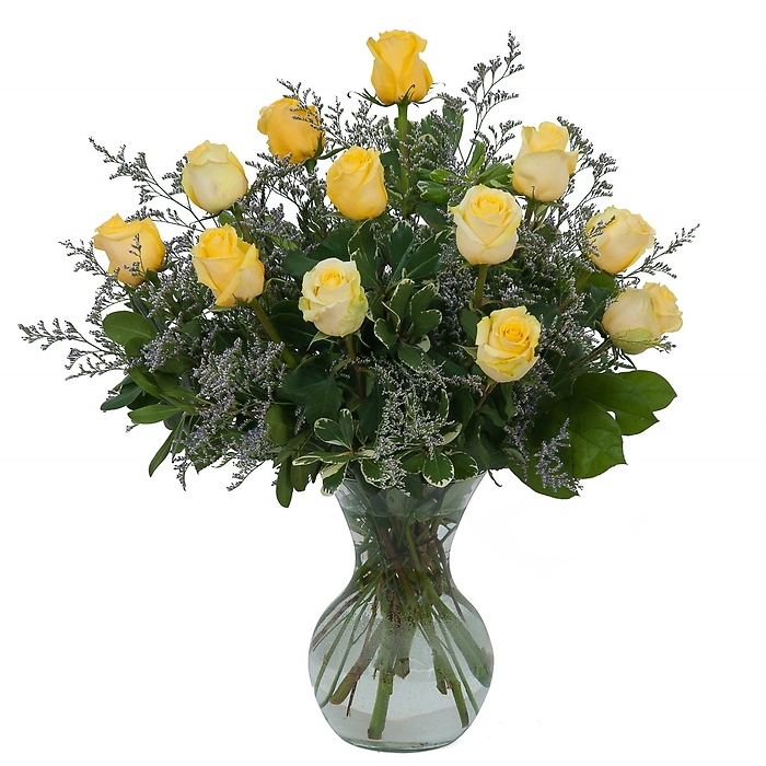 Yellow Rose Beauty