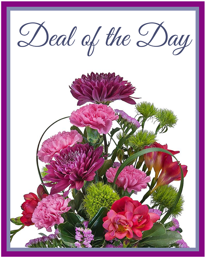 Deal of the Day