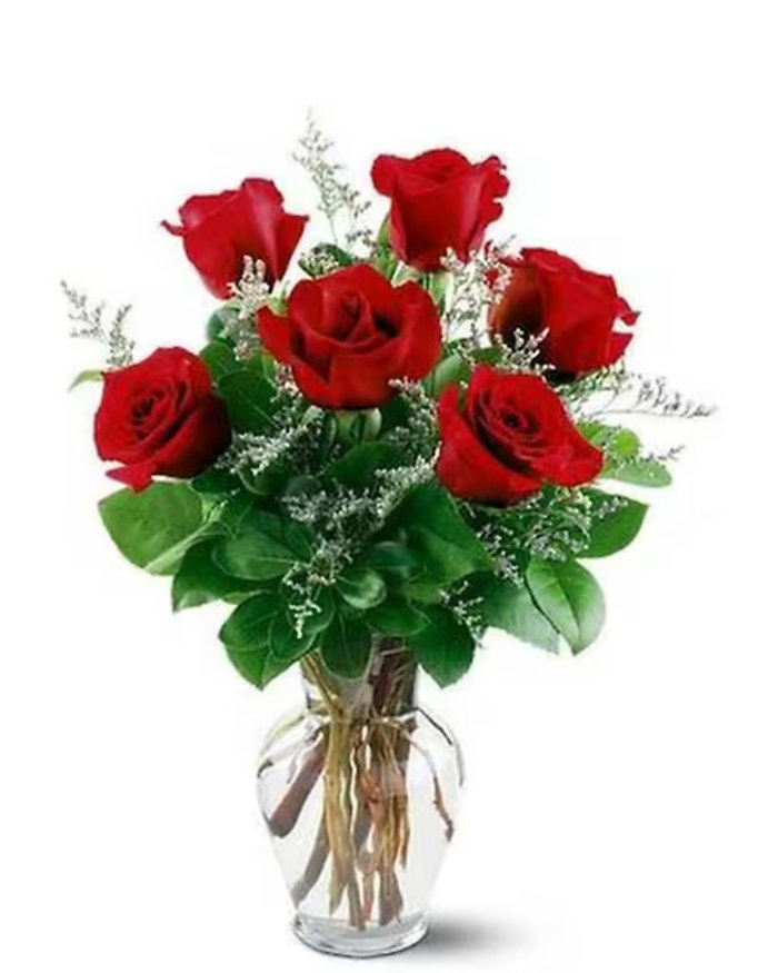 6 Red Roses