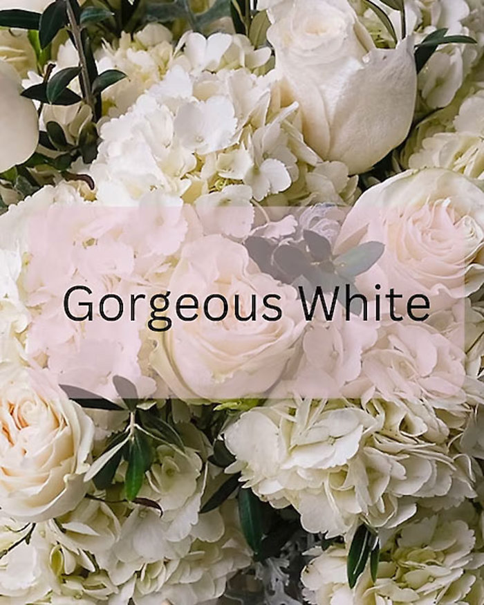 Gorgeous White