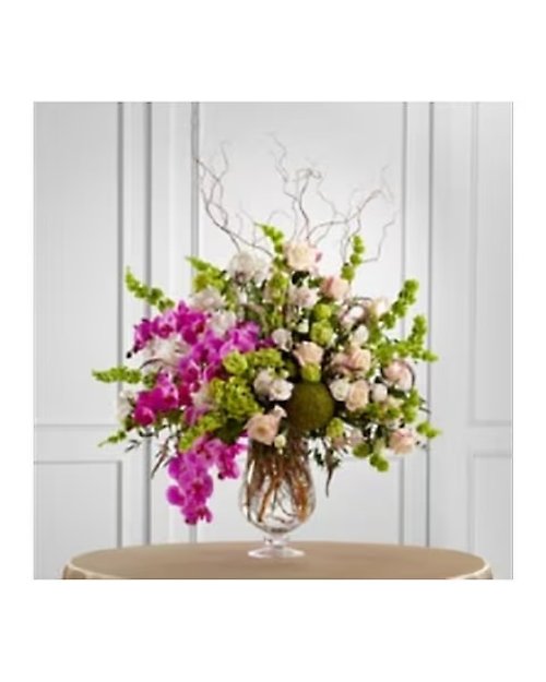 Soft Sophistication