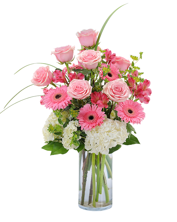 Pink Petals