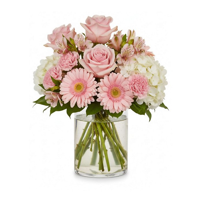 Sweet Pea\'s Delight